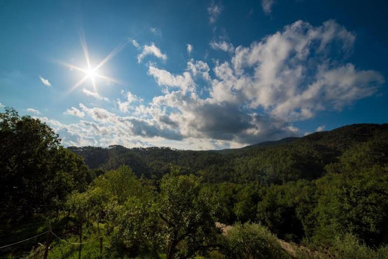 Agriturismo Di Charme E Ristorante Stallato Il Filo Di Paglia Carro Kültér fotó
