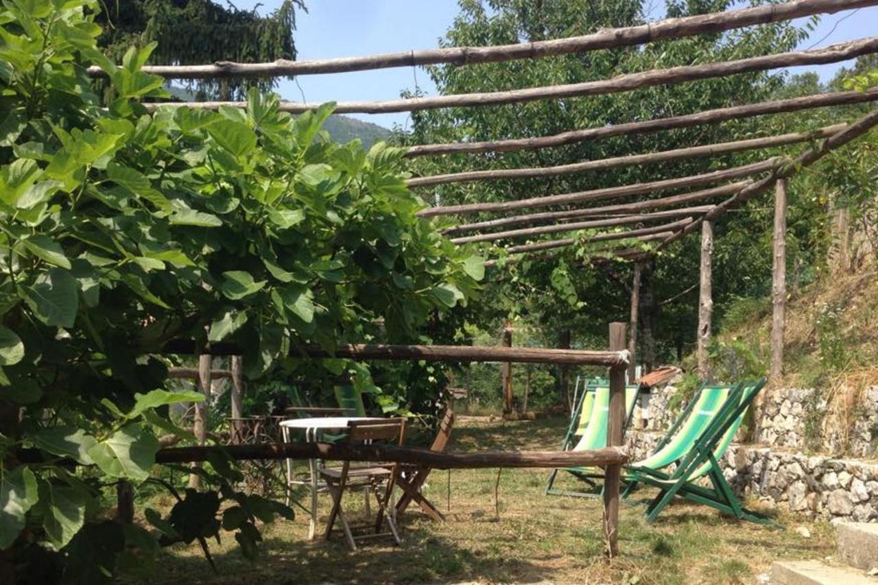 Agriturismo Di Charme E Ristorante Stallato Il Filo Di Paglia Carro Kültér fotó