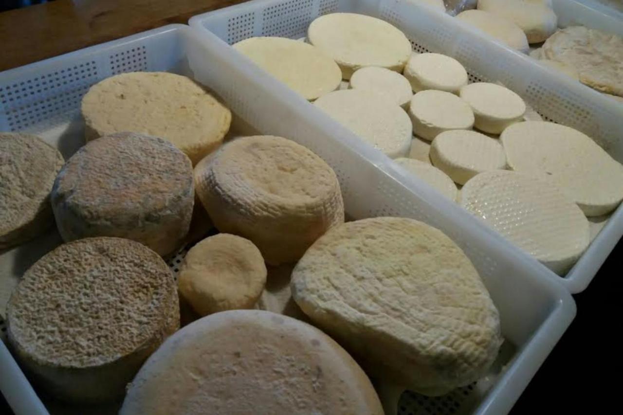 Agriturismo Di Charme E Ristorante Stallato Il Filo Di Paglia Carro Kültér fotó