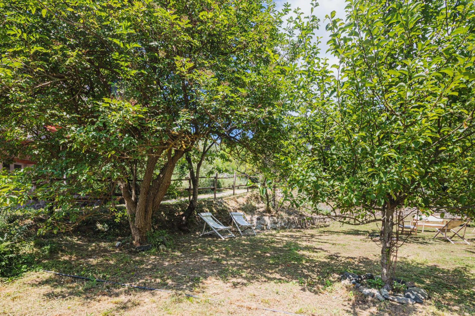 Agriturismo Di Charme E Ristorante Stallato Il Filo Di Paglia Carro Kültér fotó